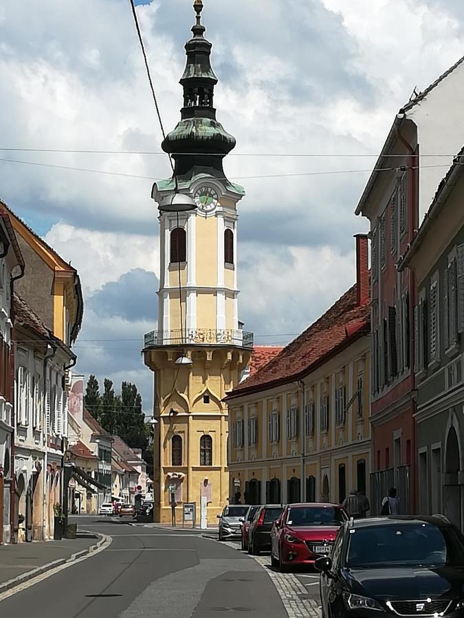 City Appartement Bad Radkersburg Zewnętrze zdjęcie