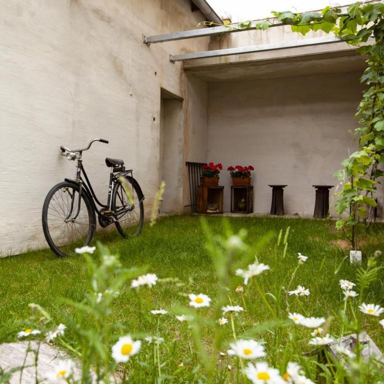 City Appartement Bad Radkersburg Zewnętrze zdjęcie